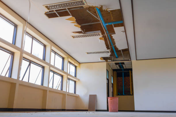 Best Water damage contractors near me  in Lawson Heights, PA