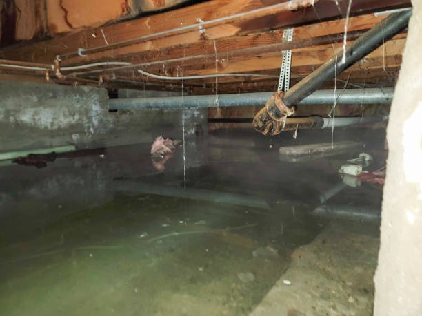 Best Water damage repair service  in Lawson Heights, PA
