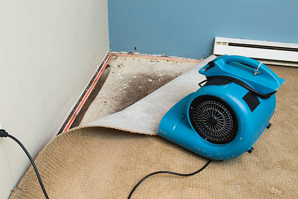 Best Flood damage cleanup  in Lawson Heights, PA